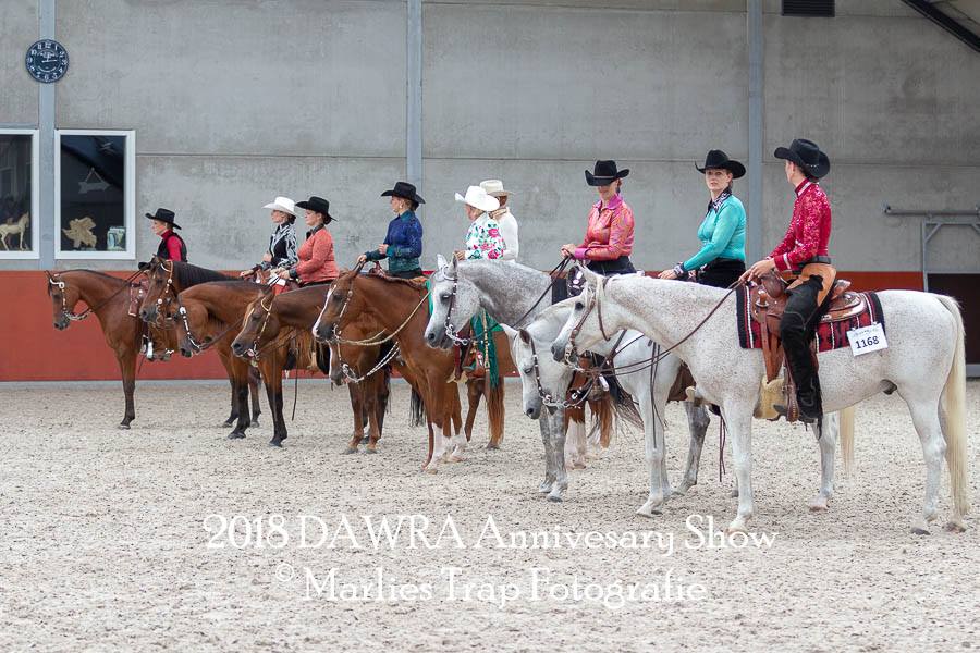 wandelen module industrie DAWRA: Dutch Arabian Western Riding Association